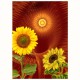 FRACTALIZATION GREETING CARD Sunrise Sunflowers